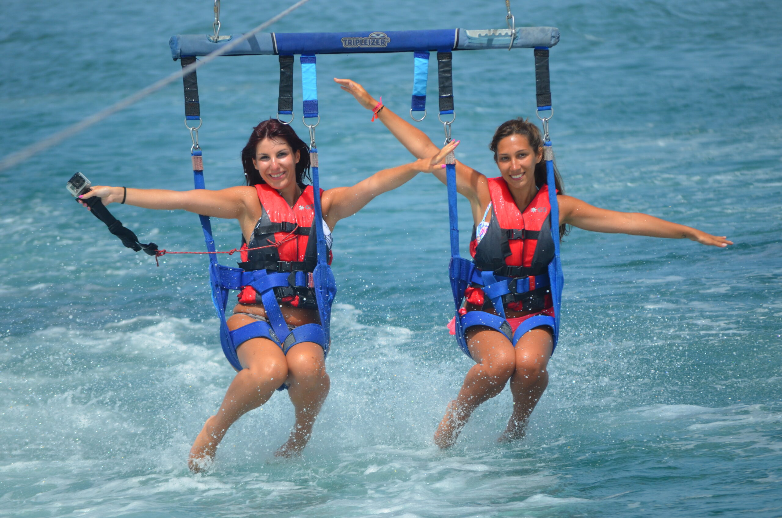 Book Your Dolphin Trip Albufeira Today<br />
